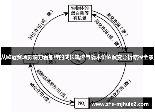 从欧冠赛场影响力看加维的成长轨迹与战术价值演变分析路径全景